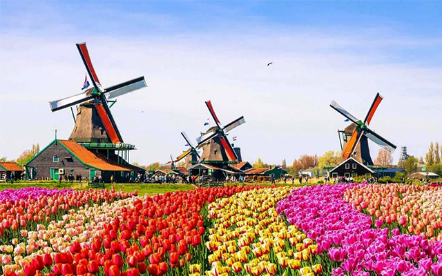 Du lịch Hà Lan với vô vàn những điểm đến tuyệt đẹp dành cho du khách