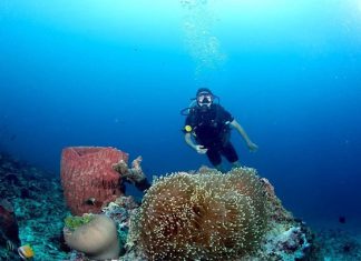 Đảo Bunaken - thiên đường lặn biển lý tưởng trong tour du lịch Indonesia