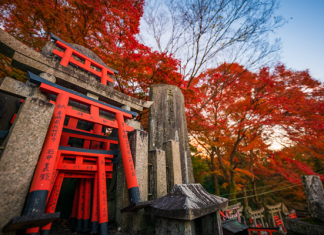 Khám phá list 6 đền chùa linh thiêng, nổi tiếng khi du lịch Nhật Bản
